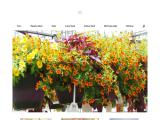Dan Schantz Farm & Greenhouses