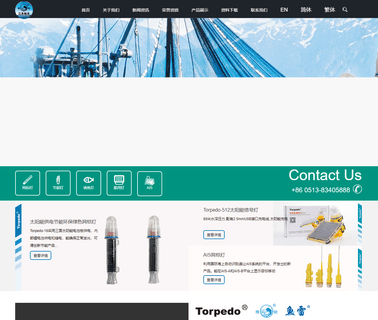 Qidong Yangcheng Electronics