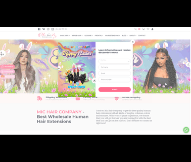 Mic Viet Trading and Investment Limited